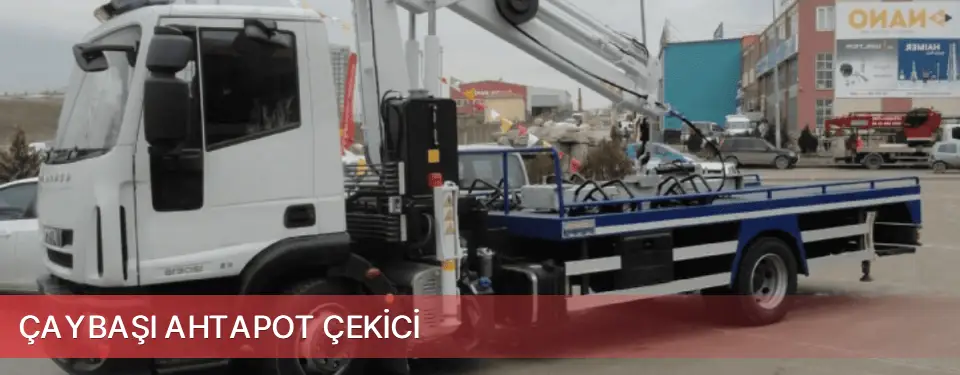 Çaybaşı İlçemi Ahtapot Çekici