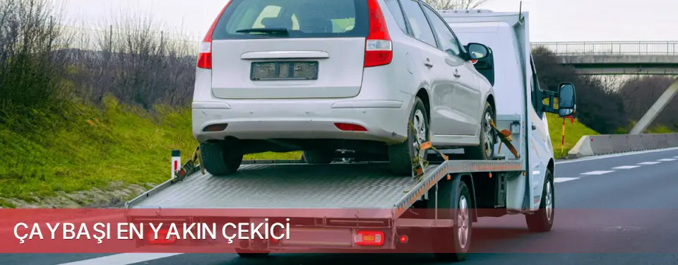 Çaybaşı İlçemi En Yakın Çekici