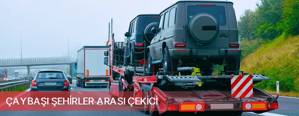 Çaybaşı İlçemi Şehirler Arası Çekici