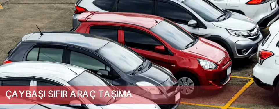 Çaybaşı İlçemi Sıfır Araç Taşıma