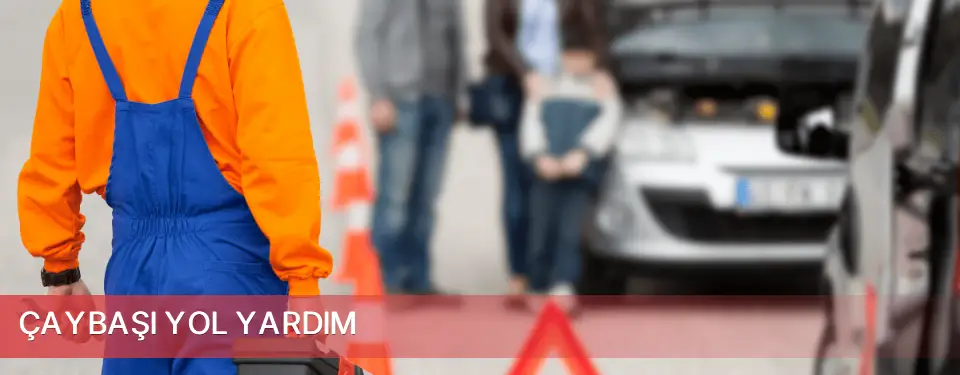 Çaybaşı İlçemi Yol Yardım
